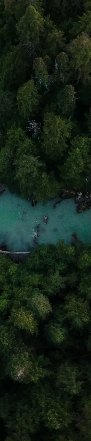 Erlebe deine Kanada-Reise wie im Flug